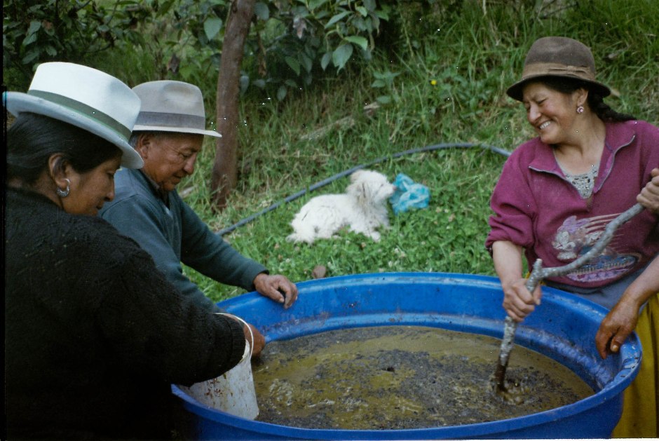 Learning how to make abono orgánico out of chicha (a fermented corn beer), leftover cheese curds, and manure. Chilca Totora, Ecuador.